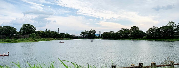 江津湖 is one of Tempat yang Disukai Hide.