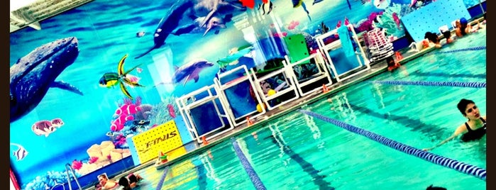 American Swim Academy is one of Mariaさんの保存済みスポット.