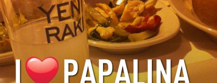 Papalina Balık is one of Restaurant.