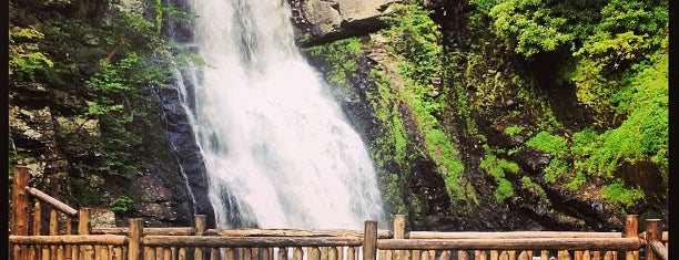 Bushkill Falls is one of Lizzieさんのお気に入りスポット.