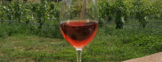 Vivac Winery is one of New Mexico Wineries.