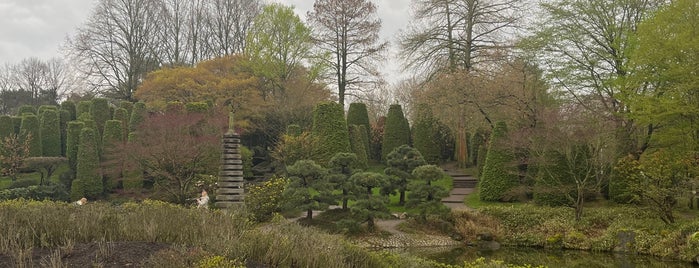 Japanischer Garten is one of Bonn.