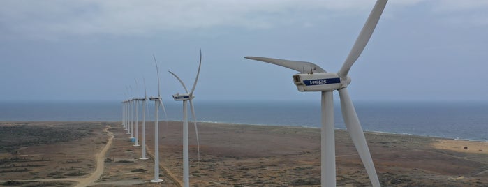 Vader Piet Windpark is one of My Aruba Spots.