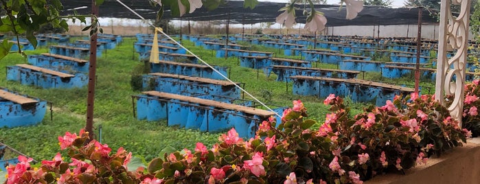 Snails Farm Eco Telus is one of Bulgarian Seaside.