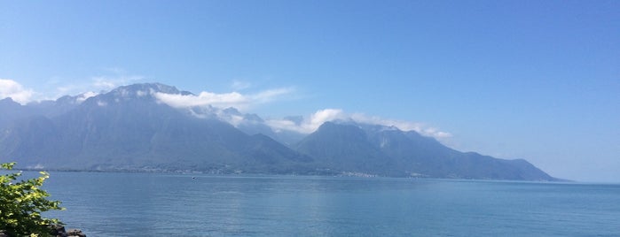 Quais de Montreux is one of Тур Море и Горы.