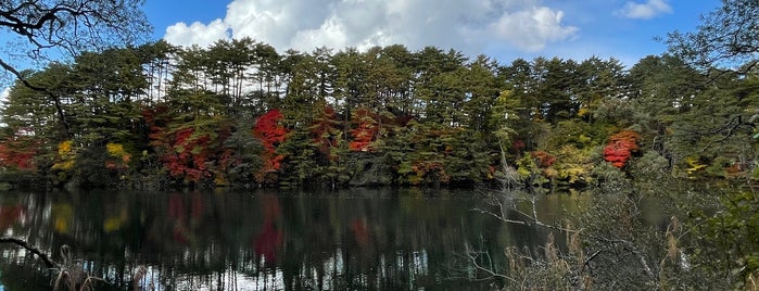 Yanagi-numa Pond is one of Japan Trip.
