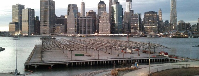 Brooklyn Heights Promenade is one of NY for beginners.