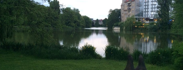 Lietzensee Wiese is one of Berlin Best: Parks & Lakes.