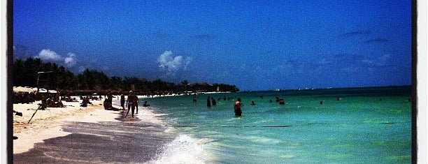 Kool Beach Club is one of Riviera Maya.