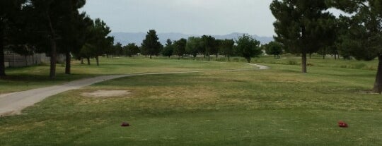 Desert Rose Golf Course is one of Birdie Badge (USA).