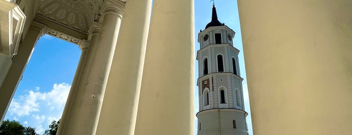 Vilniaus arkikatedra ir Šv. Kazimiero koplyčia | Cathedral of St Stanislaus and St Vladislav and Chapel of St Casimir is one of Vilniaus klasicizmas.