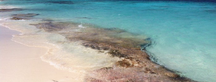 Divesite No Name Beach (A) is one of Dutch Caribbean.