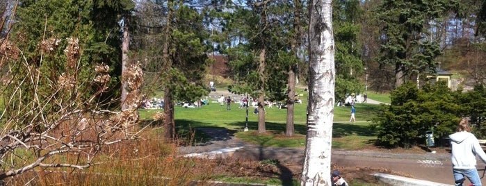 Альпийский парк is one of Helsingin luonto.