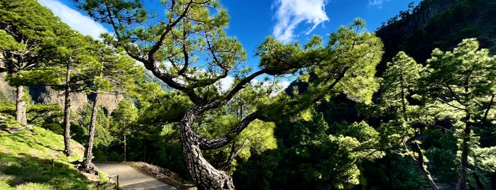 La Cumbrecita is one of La Palma, Spain.