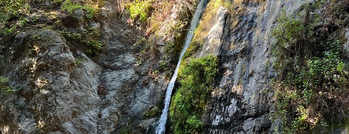 Pfeiffer Falls is one of Highway 1.
