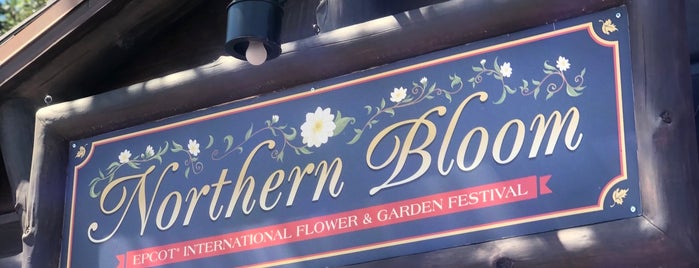 Northern Bloom is one of Lizzie : понравившиеся места.