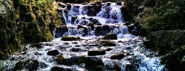 Wasserfall Viktoriapark is one of Tempat yang Disukai Mahmut Enes.