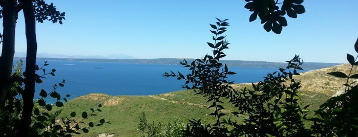 Manzara Rastaurant is one of Lieux qui ont plu à Gülşen.