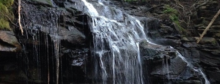 Dutchmans Falls is one of Sullivan County.