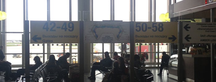 Выход 50 / Gate 50 (F) is one of SVO Airport Facilities.