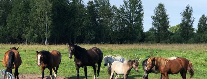 Stallis Ormaņi is one of Kur dzimšanas dienā ir īpaši piedāvājumi?.