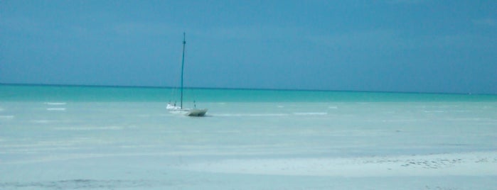 Isla Holbox is one of Foursquare 9.5+ venues WW.