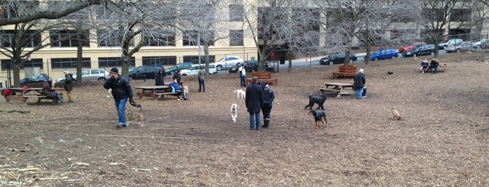 Hillside Dog Park is one of New York's Saved Places.