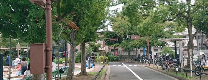 北沼交通公園 is one of 交通公園.
