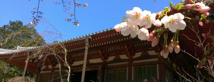 醍醐寺 観音堂 is one of Kyoto_Sanpo2.