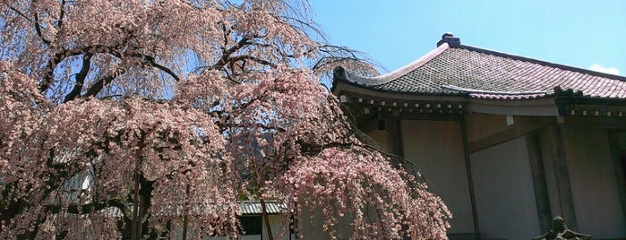 醍醐寺 霊宝館 is one of Kyoto_Sanpo2.
