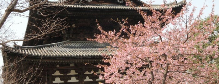 東寺 金堂 is one of Kyoto_Sanpo2.