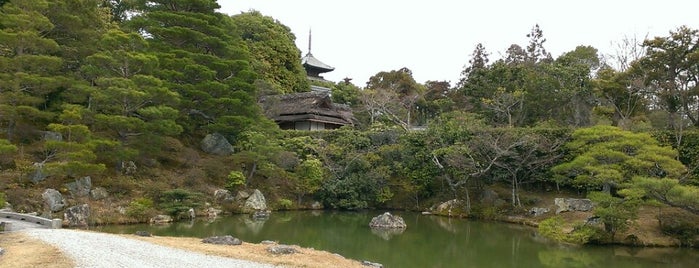 仁和寺庭園 is one of Kyoto_Sanpo2.