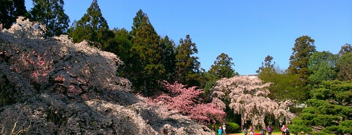 憲深林苑 is one of Kyoto_Sanpo2.