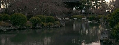 To-ji Pagoda is one of Kyoto_Sanpo2.