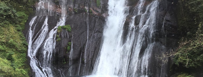 白水の滝 is one of 豊緑.