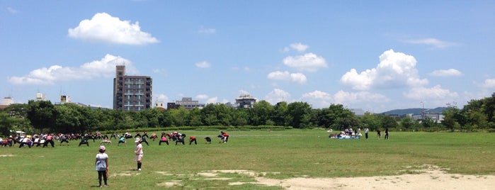 梅小路公園芝生広場 is one of Kyoto_Sanpo2.