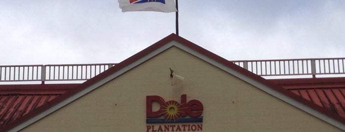 Dole Plantation is one of North Shore, Circle Island Tour.