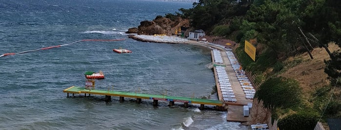 Değirmenburnu Plajı is one of Büyükada-Heybeliada 2021.