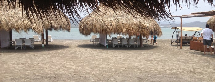 Punta Velero Beach And Food is one of 20 favorite restaurants.