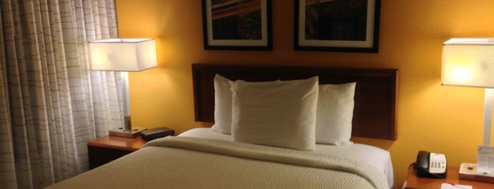 Residence Inn New Orleans Downtown is one of สถานที่ที่ Theo ถูกใจ.