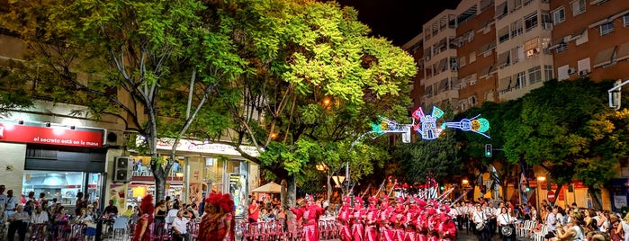 Barrio Del Altozano is one of Barrios de Alicante.