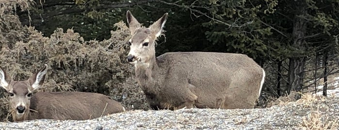 Lake Invermere is one of Banff.