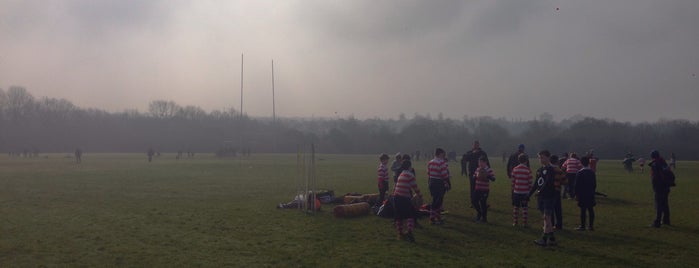 Finchley Rugby Club is one of András : понравившиеся места.