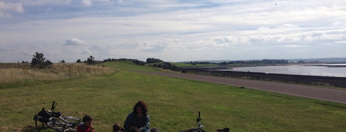 Millennium Coastal Path is one of Swansea.