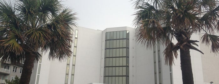 Virginia Beach Resort Hotel & Conference Center is one of Tempat yang Disukai Doris.