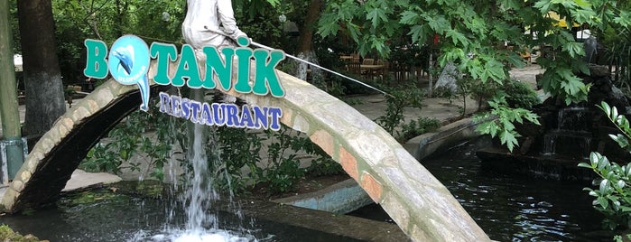 Ulupınar Batonik Restaurant is one of Orte, die Papyon Cicek / Kemer gefallen.