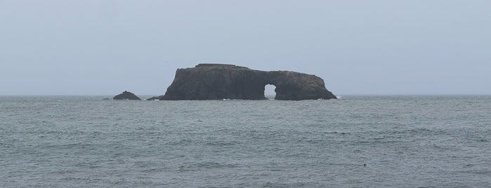 Goat Rock State Beach is one of Hwy 101 - Redwoods.