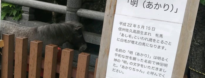 神馬 神幸号 (通称あかりちゃん)の家 is one of 動物園・水族館・植物園.