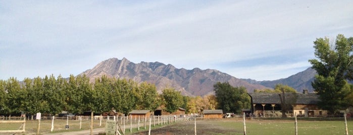 Wheeler Historic Farm is one of Utah's must visit venues.