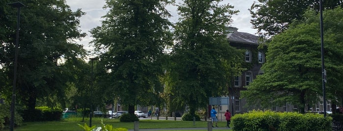 National University of Ireland, Galway (NUI Galway) is one of In Dublin's Fair City (& Beyond).